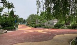 西安世博园爆料视频大全,全景揭秘精彩瞬间