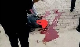 沧州泊头爆料新闻,沧州泊头最新爆料，事件详情引关注